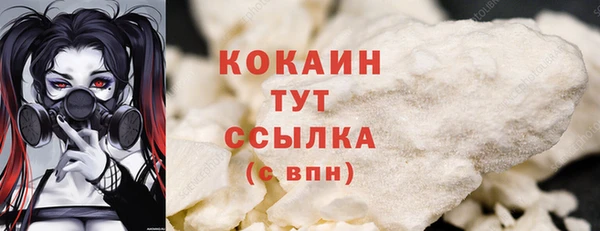 дмт Горняк