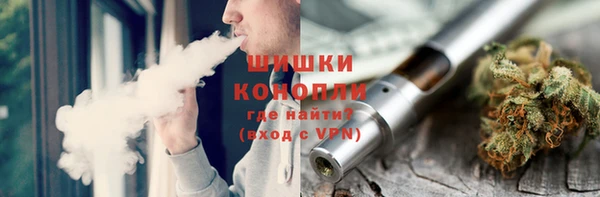 прущие грибы Тихорецк