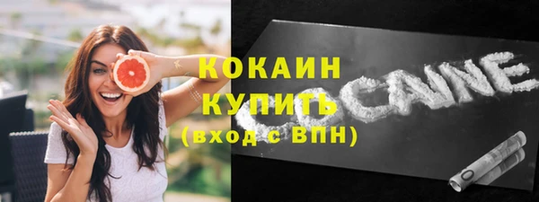 дмт Горняк