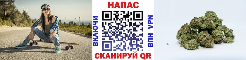 Шишки марихуана марихуана  цена   Петров Вал 